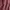 Burgundy kimono top  photo 3