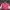 Nike Vintage Y2K Hoody Pria Red Yellow