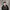 F1/Racing/Lexus Jacket photo 5