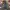 M330 A BANTING APEM MOUNTAIN PARKA CAMOUFLAGE JACKET  photo 3