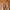Genuine Dickies Relaxed Fit Brown Carpenter Trousers  photo 3