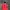 F1 Ferarri Jacket  photo 4