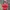 F1 Ferarri Jacket  photo 3