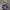 F1 Red Bull Jacket photo 5