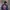 F1 Red Bull Jacket photo 4