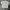 Polo shirt New Balance second photo 1