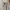 Life Work Streetwear Luxury Sweater Pria green gray photo 2