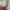 Life Work Streetwear Luxury Sweater Pria green gray photo 6
