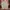 Life Work Streetwear Luxury Sweater Pria green gray photo 3