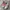 Loewe X On Cloudtilt Polyester Pink photo 3