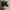 Adidas superstar  photo 5