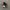 nike jordan photo 1