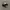 nike jordan photo 2