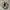 Salomon XT-6 Gore-Tex Vintage Khaki  photo 2