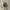 Salomon XT-6 Gore-Tex Vintage Khaki  photo 4