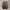 Salomon XT-6 Gore-Tex Vintage Khaki  photo 5
