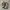 Salomon XT-6 Gore-Tex Vintage Khaki  photo 3