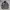 Carhartt Vintage Luxury Harrington Jacket Pria Brown Black