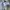 Adidas neo longsleeve photo 5