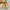 New Balance 1906R Cordura photo 4