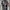 BOT by THE ROXX JAMES DEAN AOP photo 2