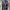 BOT by THE ROXX JAMES DEAN AOP photo 1