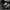 Holden Japanese Brand Charcoal Multipocket Winter Jacket photo 6