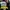 Nike airmax 97 photo 5