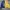 Windbreaker Reversible Nautica photo 7