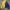 Windbreaker Reversible Nautica photo 4