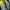 adidas spezial handball CW malmo yellow blue photo 1