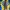 adidas spezial handball CW malmo yellow blue photo 5