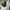 Morris & son relaxed ankle pants / Trouser  photo 1