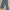 jeans biru photo 1