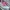 ONCLOUD RUNNINH photo 2