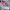 ONCLOUD RUNNINH