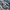 NEWBALANCE 1906R photo 2