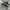 NEWBALANCE 1906R photo 1