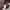 Schott NYC Streetwear Casual Other Pria brown photo 7