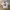 NFL Jersey Green Bay packers Aaron Rodger photo 1