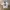 NFL Jersey Green Bay Packers Aaron Rodger