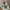 NFL Jersey Green Bay packers Aaron Rodger photo 7
