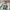 NFL Jersey Green Bay packers Aaron Rodger photo 8