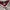 NFL Jersey Arizona Cardinal Larry fitzgerald photo 5