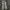 BAGGY JEANS BLACK WASH - TDH photo 1