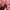 Hush Puppies for her, Signature Eimbodery Pink Zip Pullover photo 6
