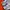 New Balance Sportswear Casual Sneakers Wanita white photo 2