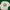 Kaos Aape Original longsleeve photo 1