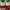 Sneakers puma shuffle white green for man photo 3