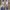 all pc photo 2